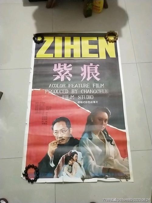 弗朗什-孔泰大学 Market Development Degrees